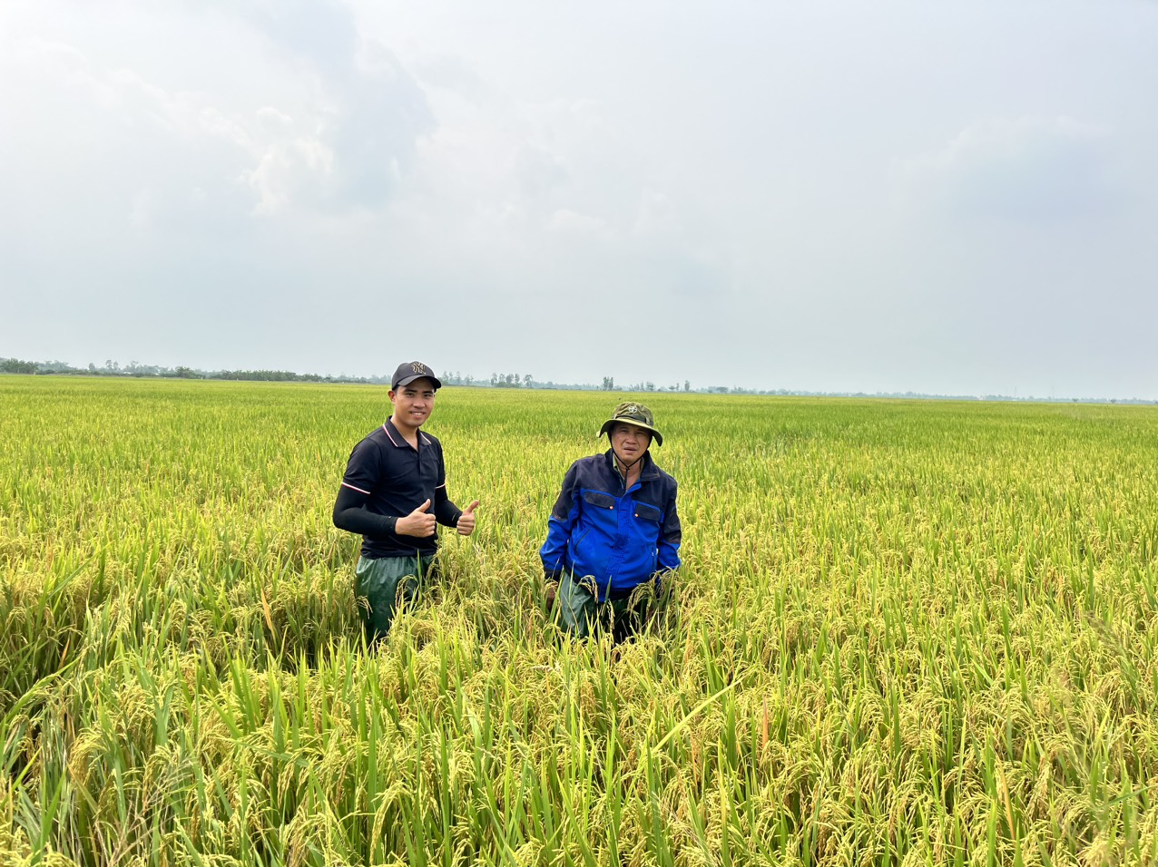 Hoạt động khảo nghiệm phân bón của Trung tâm