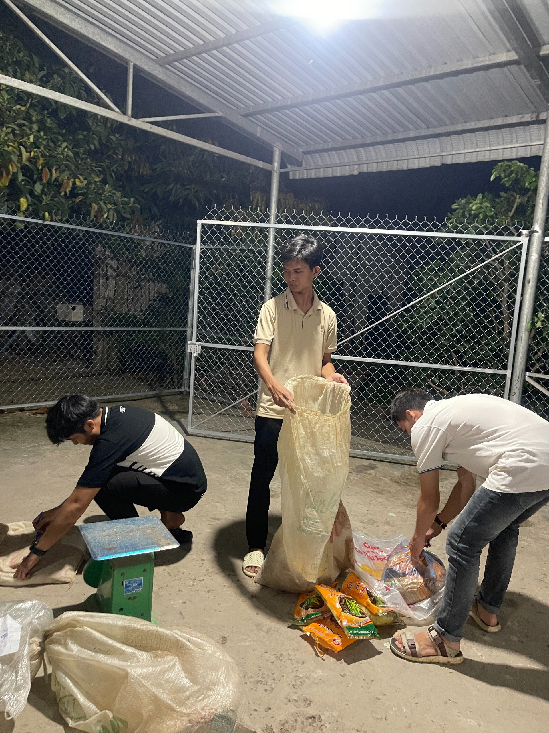 Hoạt động ngâm xử lý giống, bố trí thí nghiệm và sạ lúa điểm Mộc Hóa, Long An