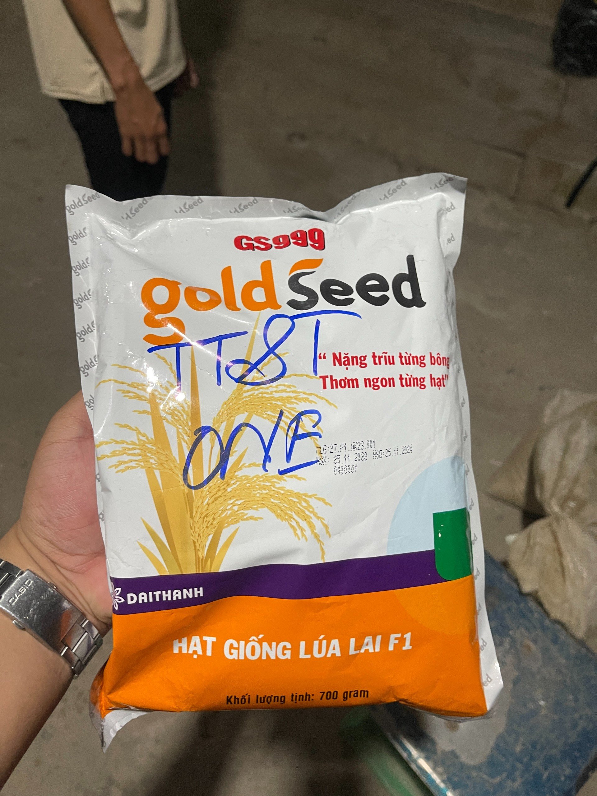 Hoạt động ngâm xử lý giống, bố trí thí nghiệm và sạ lúa điểm Mộc Hóa, Long An