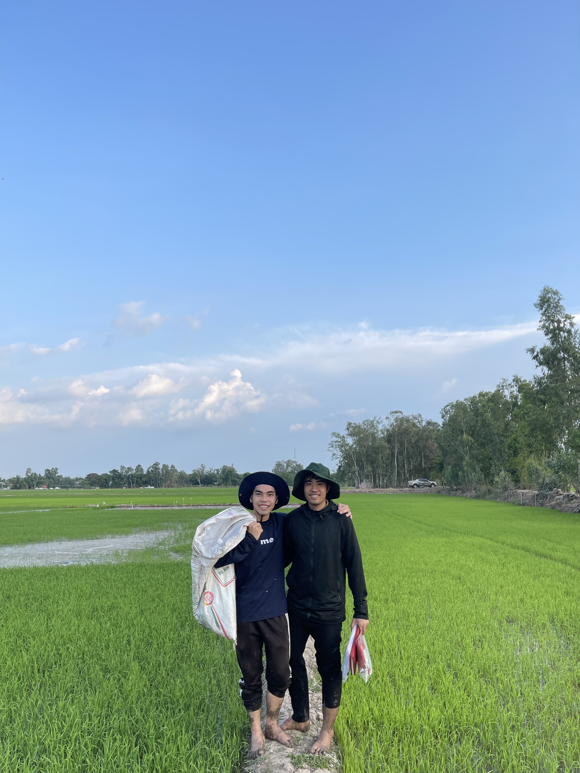 THÔNG BÁO KHẢO NGHIỆM VCU GIỐNG LÚA, NGÔ VỤ HÈ THU 2025