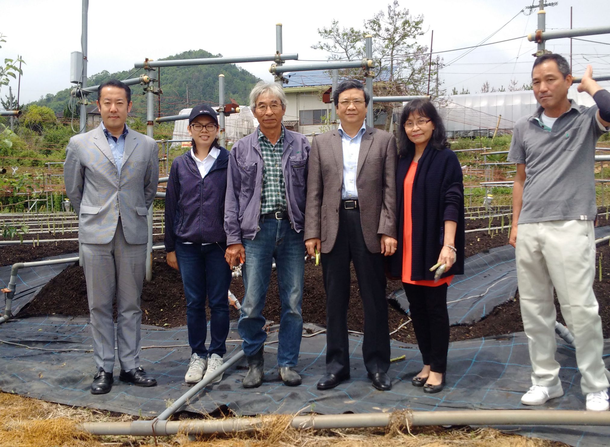 Hợp tác Nhật Bản