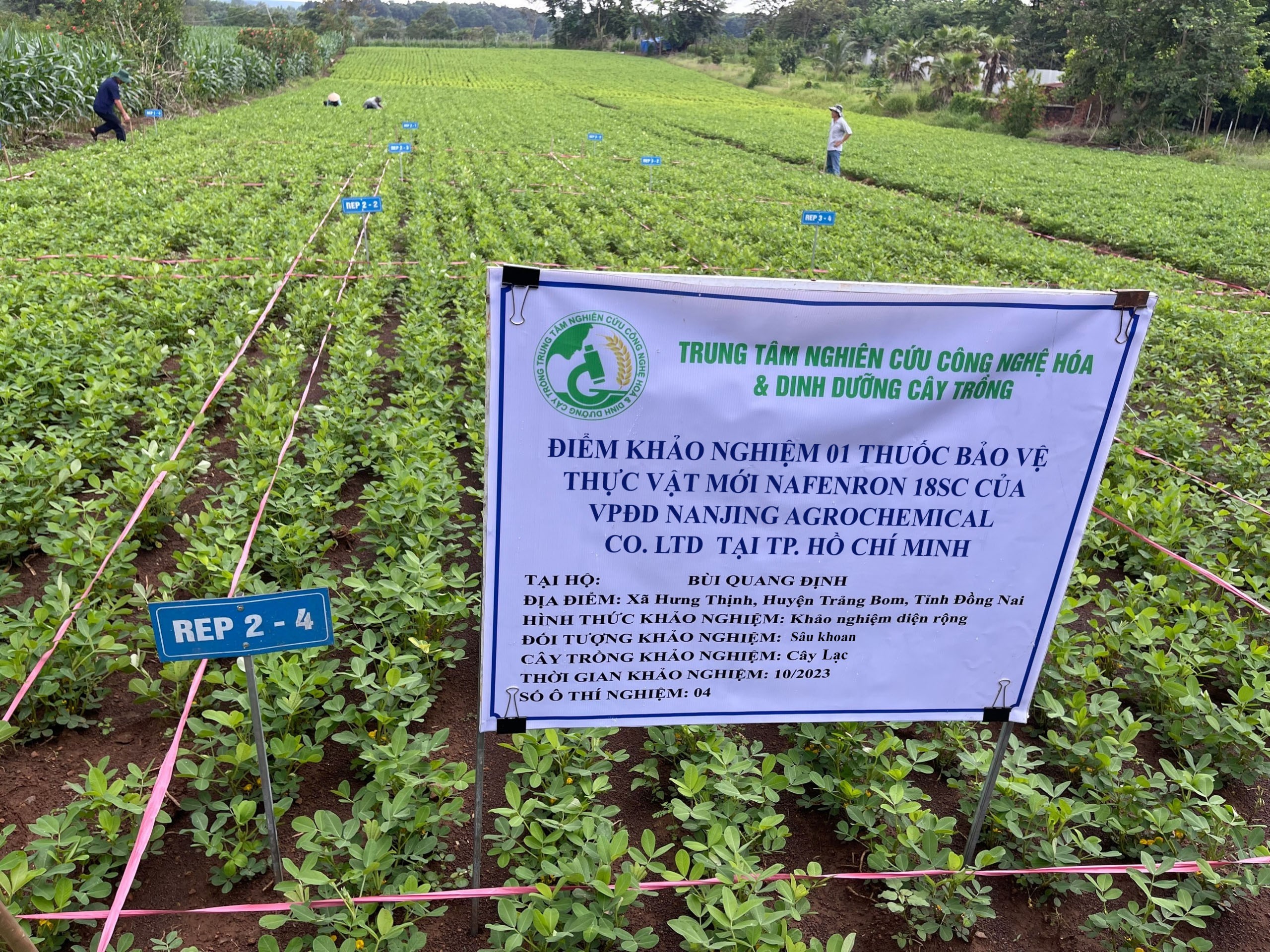 Hoạt động khảo nghiệm thuốc BVTV của Trung tâm