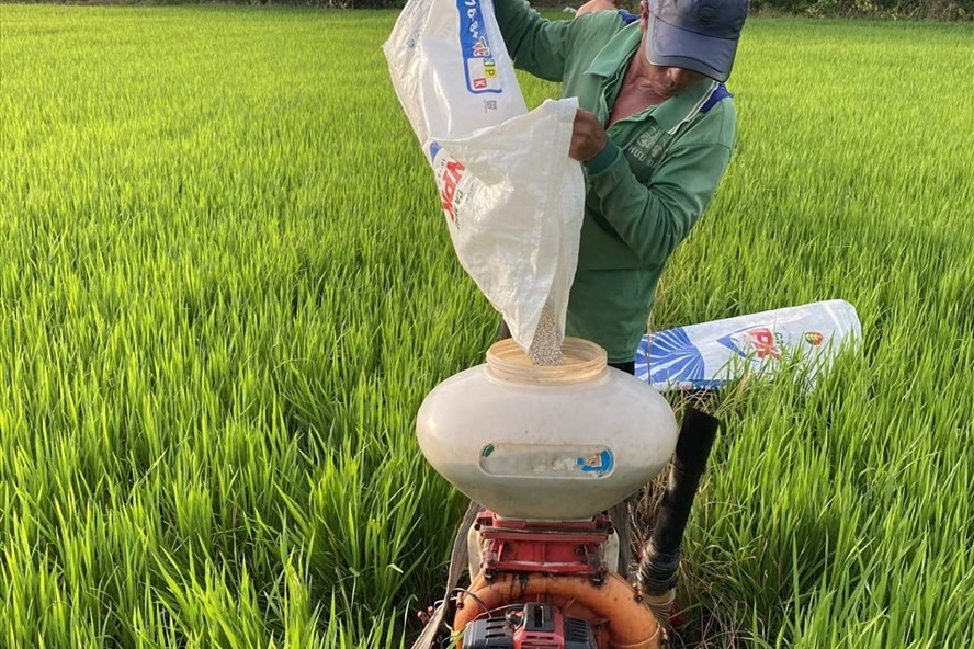 Hoạt động Báo cáo kết quả khảo nghiệm phân bón