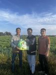 Support activities for farmer households in the 2024 trial area in Tra Vinh
